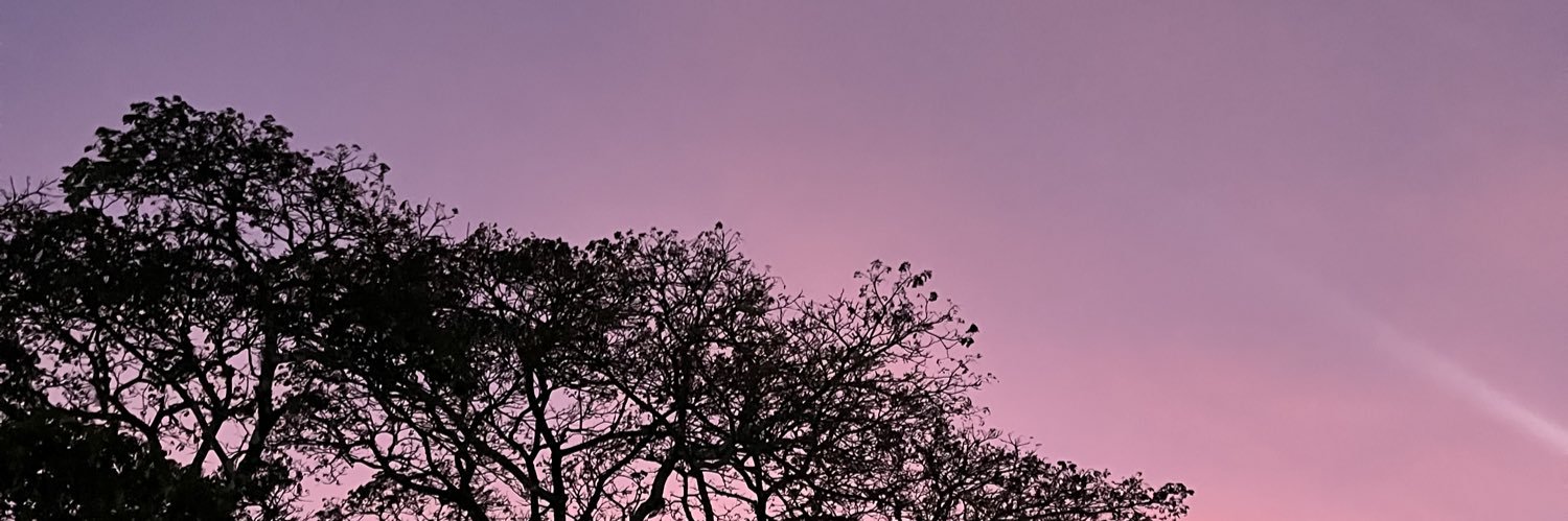 econoisa banner