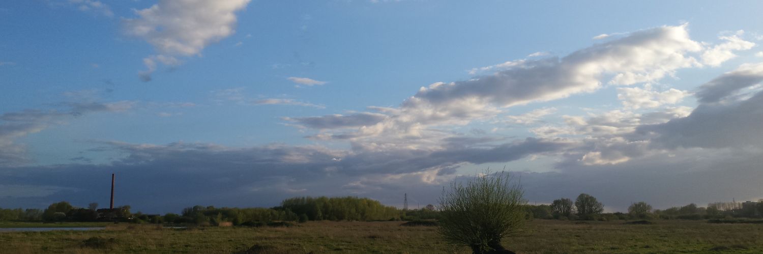 Janblomm's profile banner image
