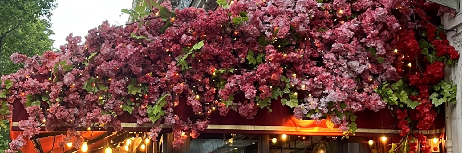 Sophh416's profile banner image