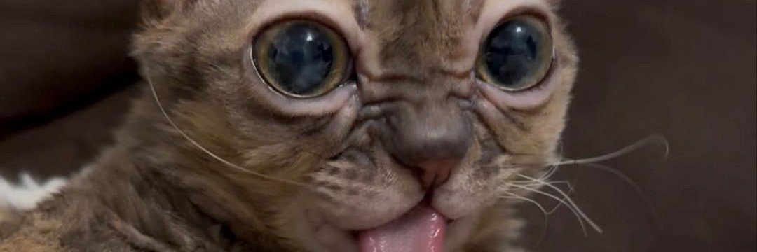 sebboyw1's profile banner image