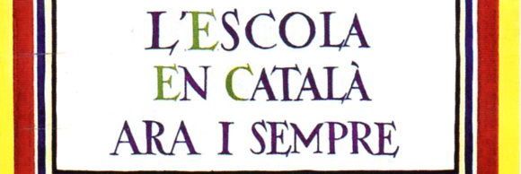 Salvadoret de cal Bajoco banner