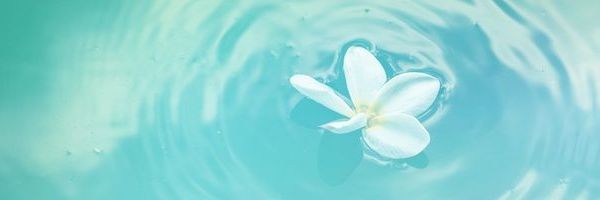 🦢 natty ᝰ.ᐟ banner