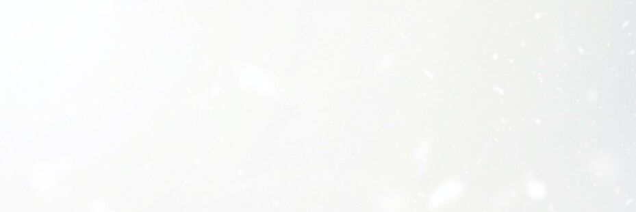 𝐒𝐧𝐨𝐰 𝐋𝐢𝐨𝐧 banner