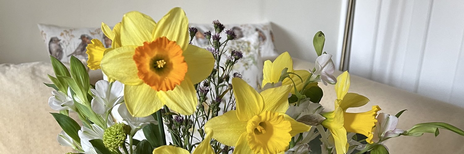 Christine Michael banner