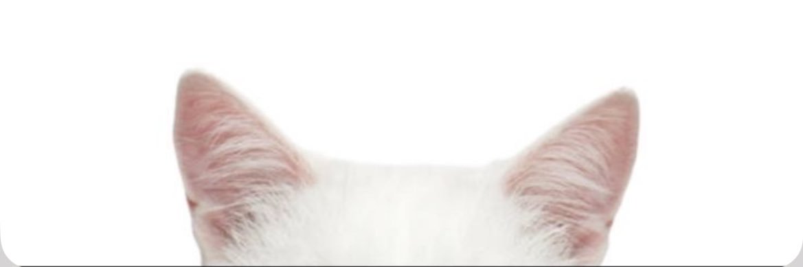 Someonesxs's profile banner image
