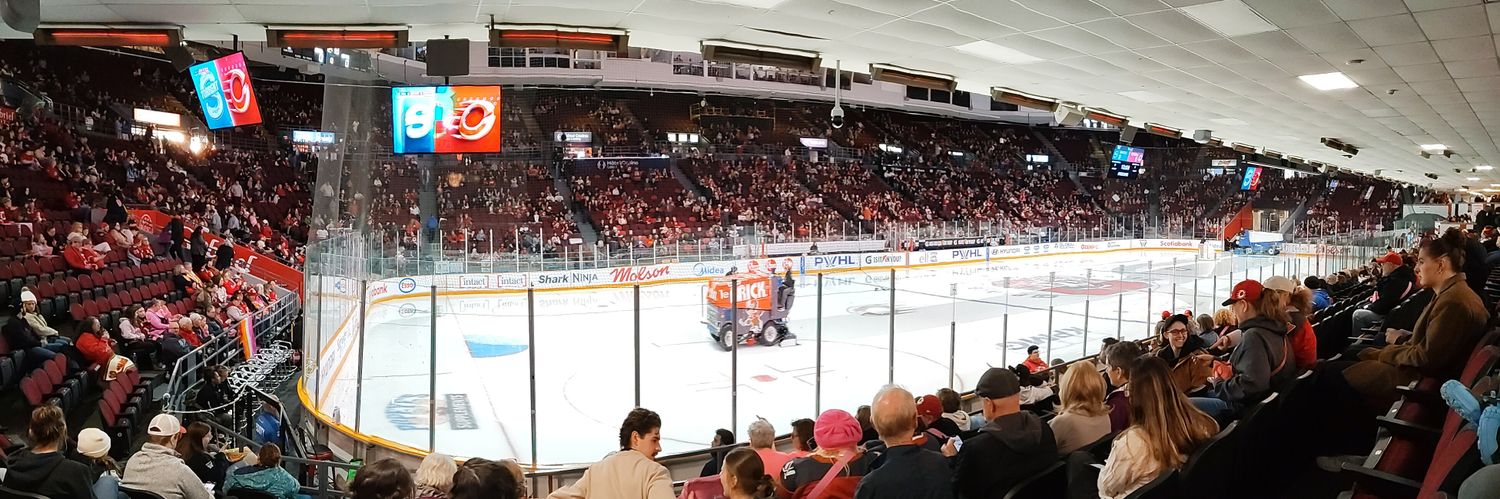 x- Amanda 🏒⚡ Electric Avenue ⚡ banner