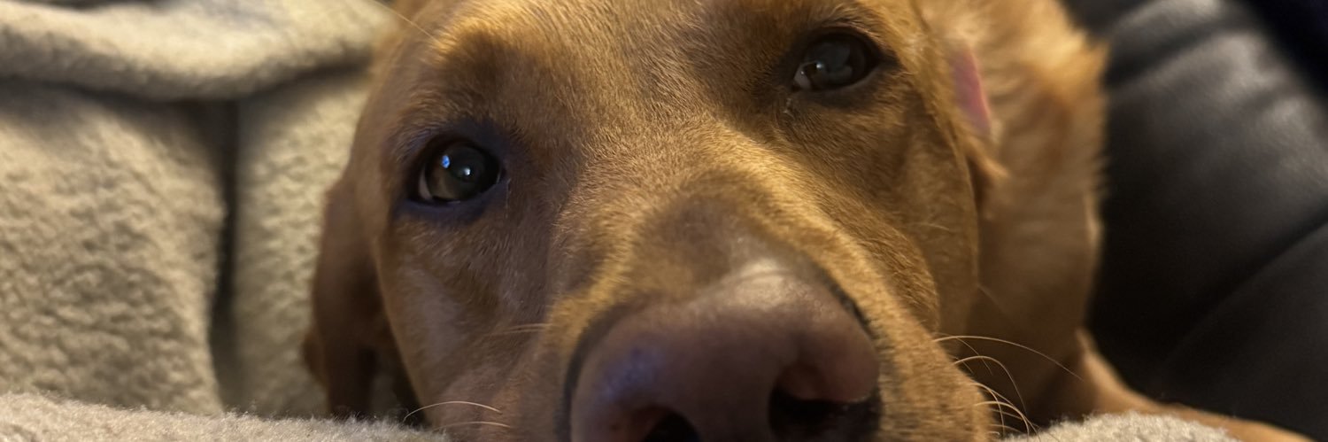 Dave_LUHG's profile banner image
