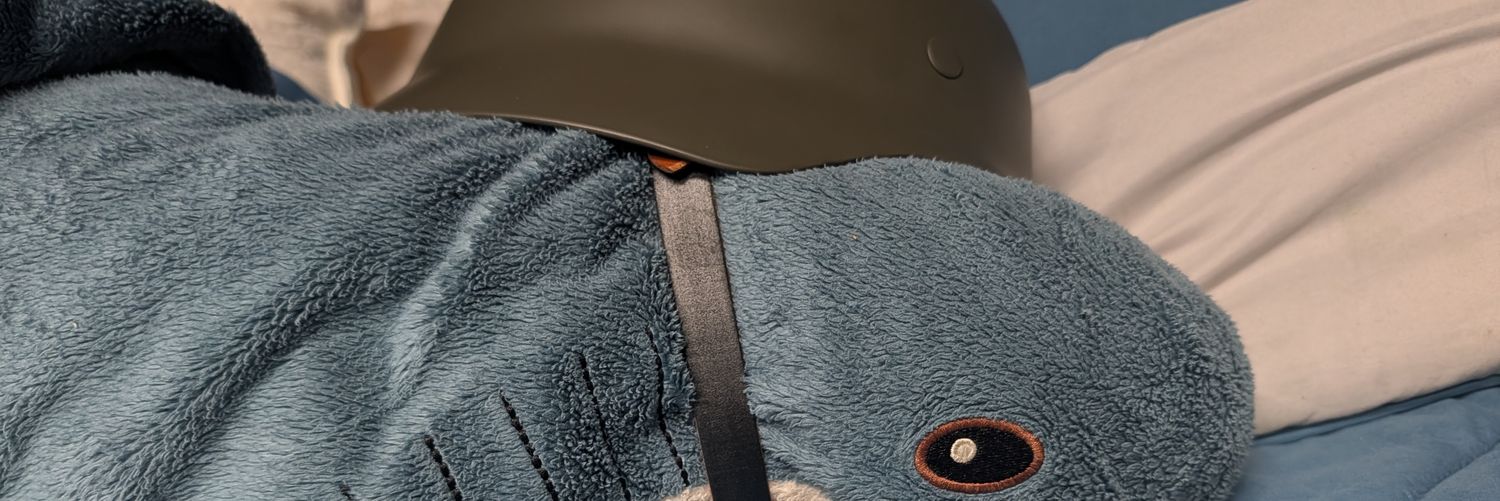 squadrista114's profile banner image