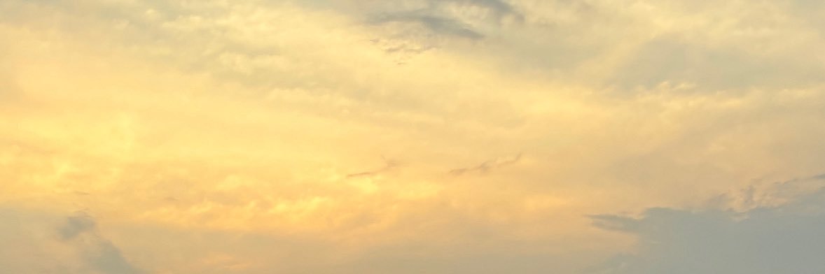 homoroy's profile banner image