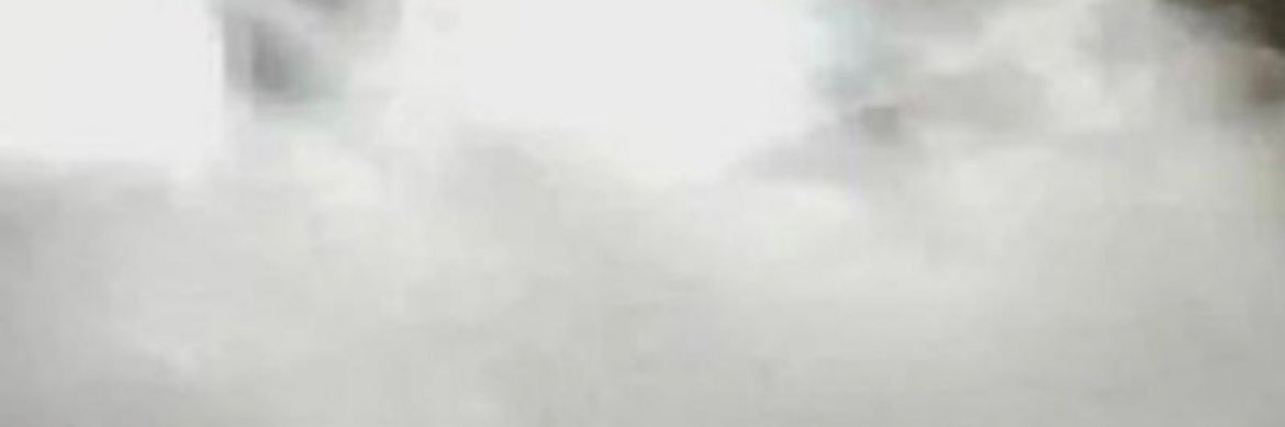Txbo19755's profile banner image