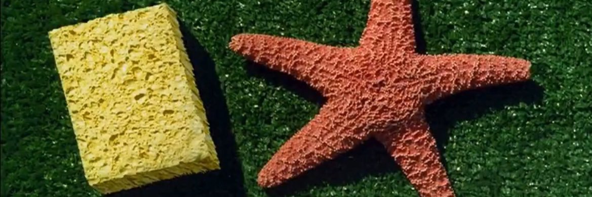 FriedSexeLover banner