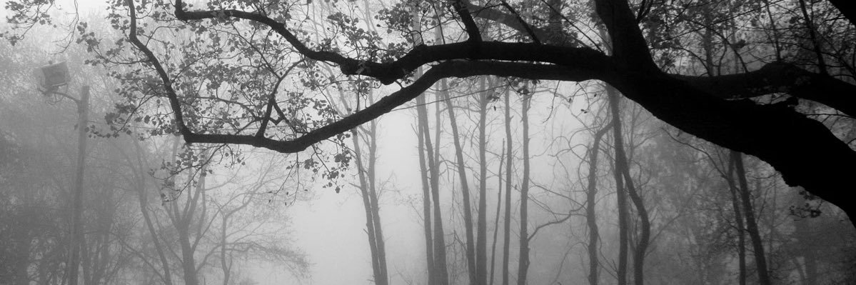 Existingbutlost's profile banner image