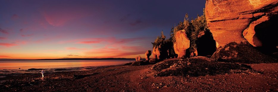 CFIB New Brunswick banner