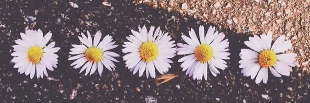 ashleyabbs15's profile banner image