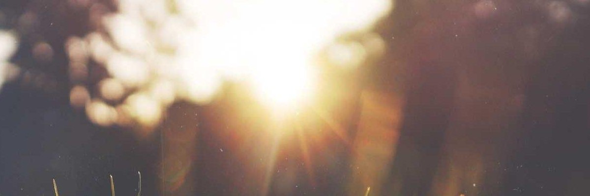 KISSER_BABE's profile banner image