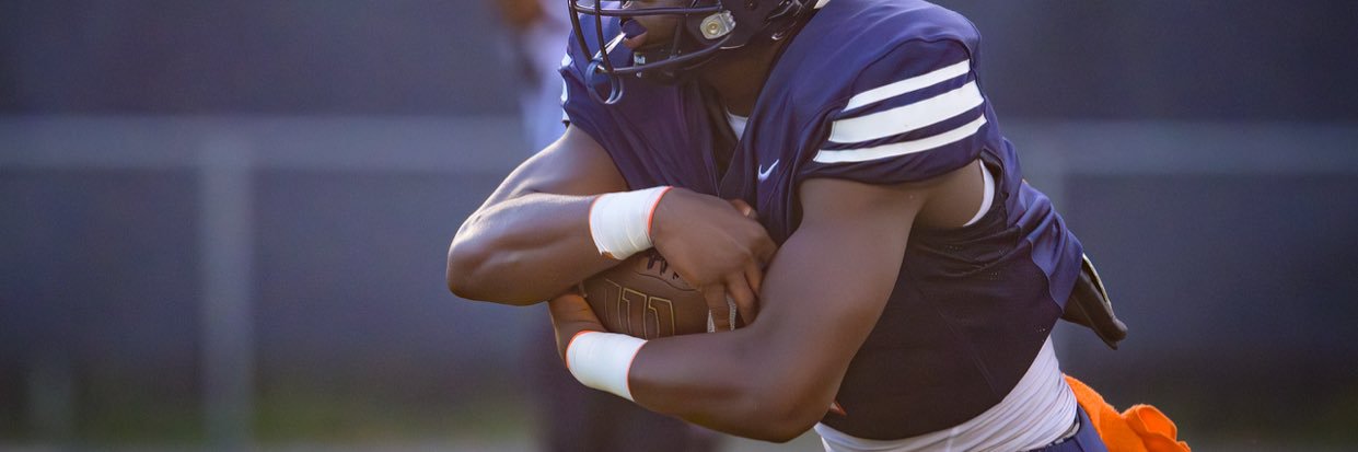 Rosean Perkins banner