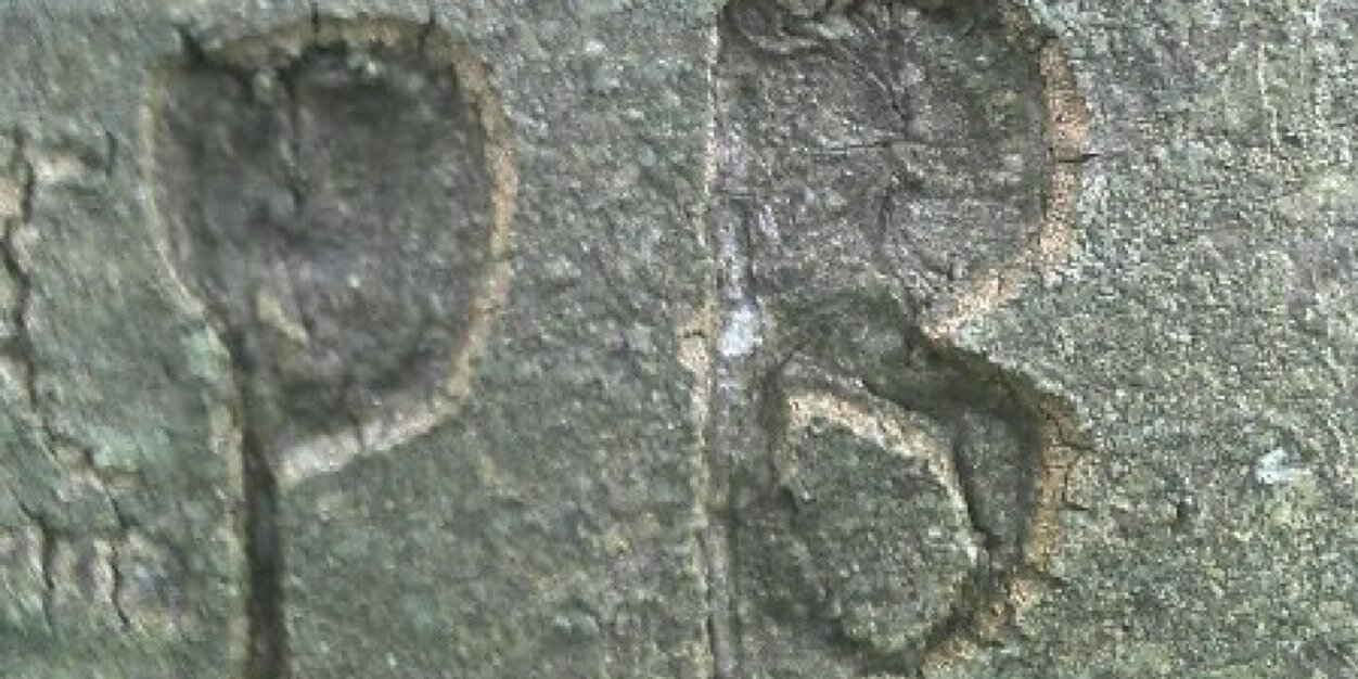 brianpb0203's profile banner image