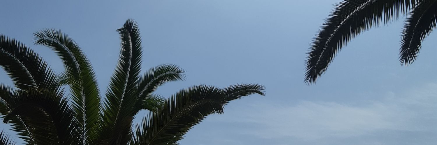 Nataly Noemi 🌻 banner