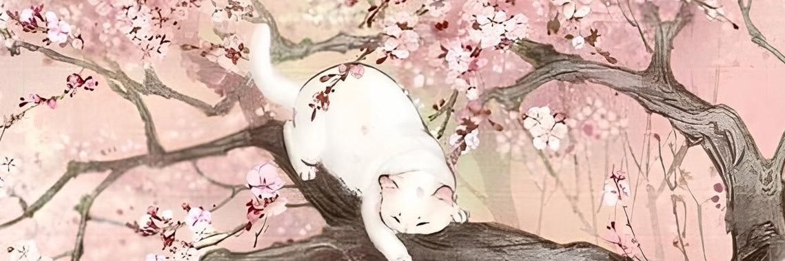 zclarimoon's profile banner image
