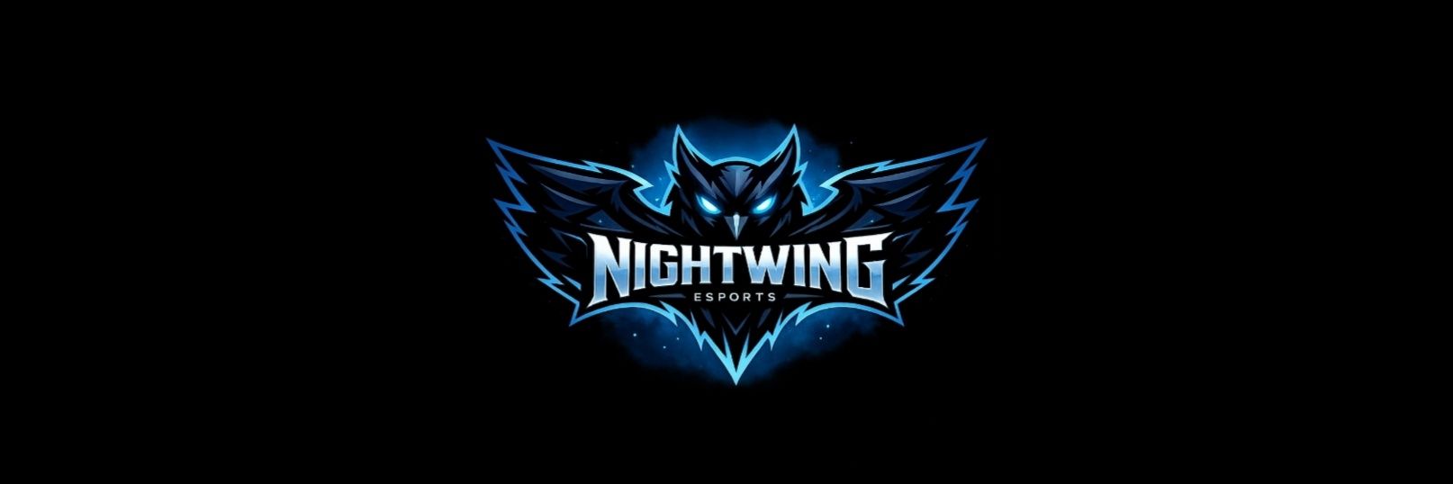Nightwing Esports banner