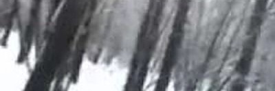 GraceKerch35840's profile banner image