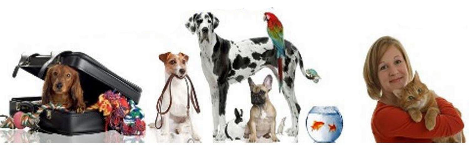 TLCpetsitter's profile banner image