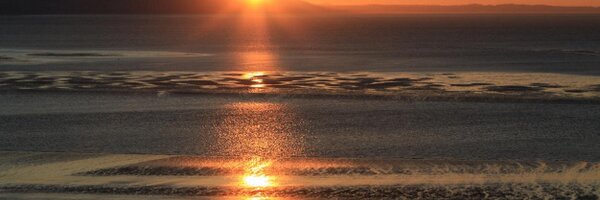 Karintweeter Profile Banner