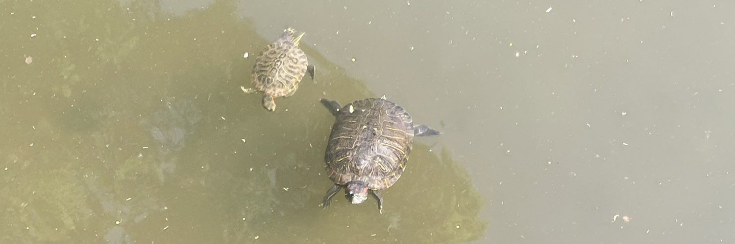 和製エンバペ【モンハン】 banner