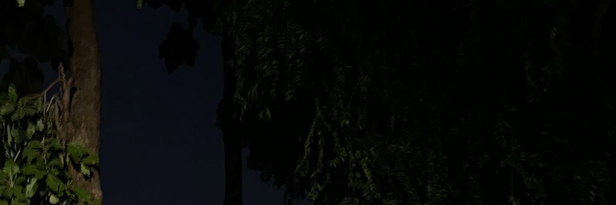 Nyla🍒 banner