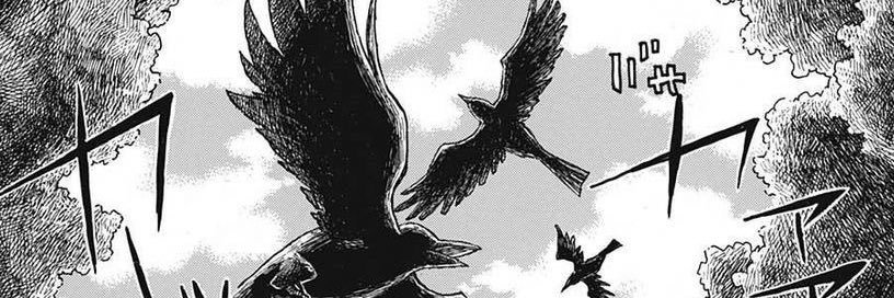 Stru banner