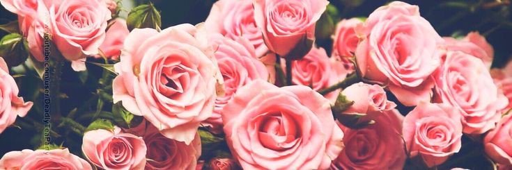 idealno_losaaa's profile banner image