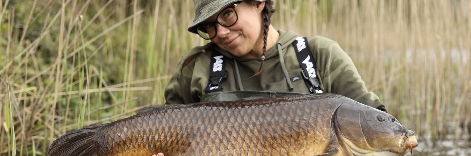 Steph_D's profile banner image