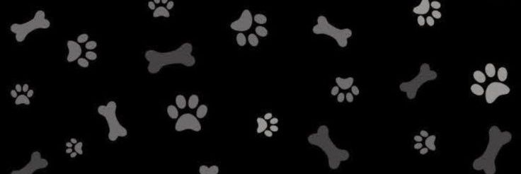 Sparky The Dog🦴 banner