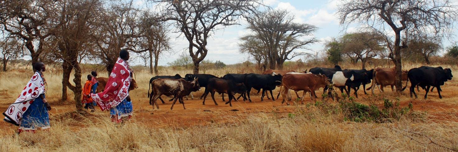 livestocklab's profile banner image