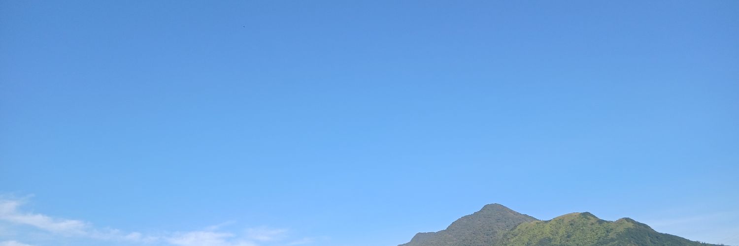 msrui30 banner