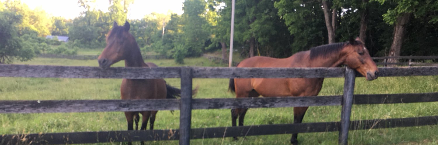 Israel Occupies America & Trump's Brain banner