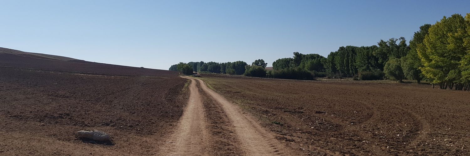 alprr545's profile banner image