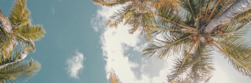 Archbold_kt's profile banner image