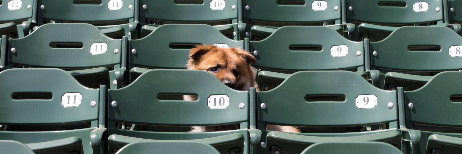 Jennifer Masuda banner