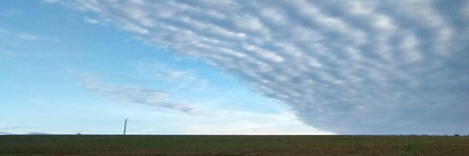 Michael Cooke banner