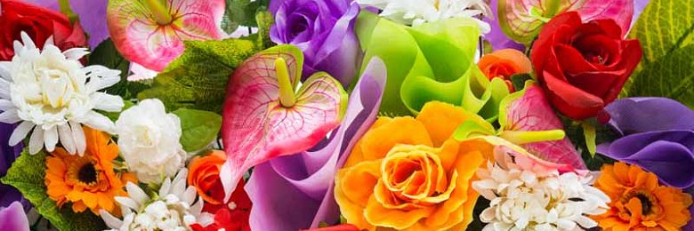 Anne-Marie PA banner