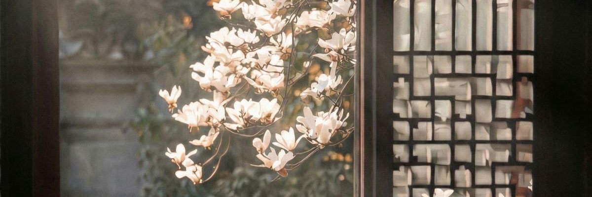 comfysx's profile banner image