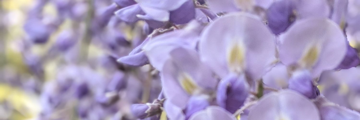 高茶【推し活垢】 banner