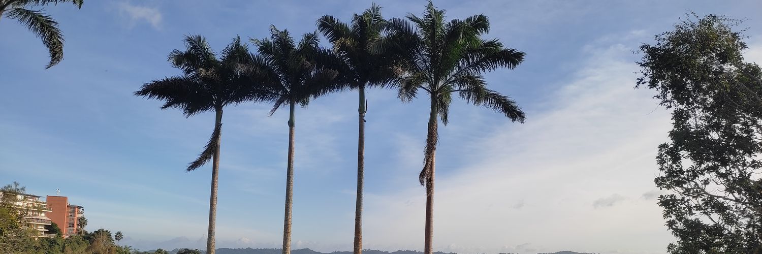 fmustariz's profile banner image