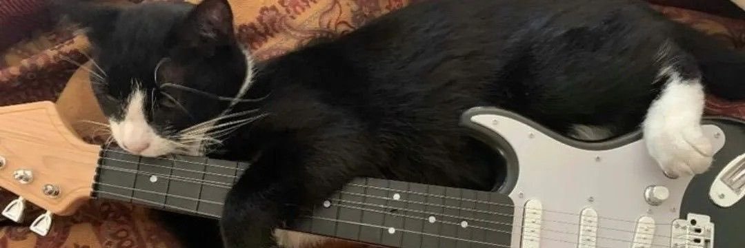 anin rt deals 🍳 banner