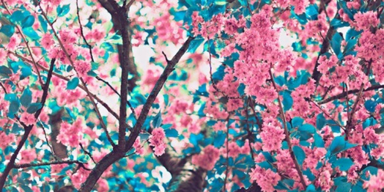 joaaanyx's profile banner image