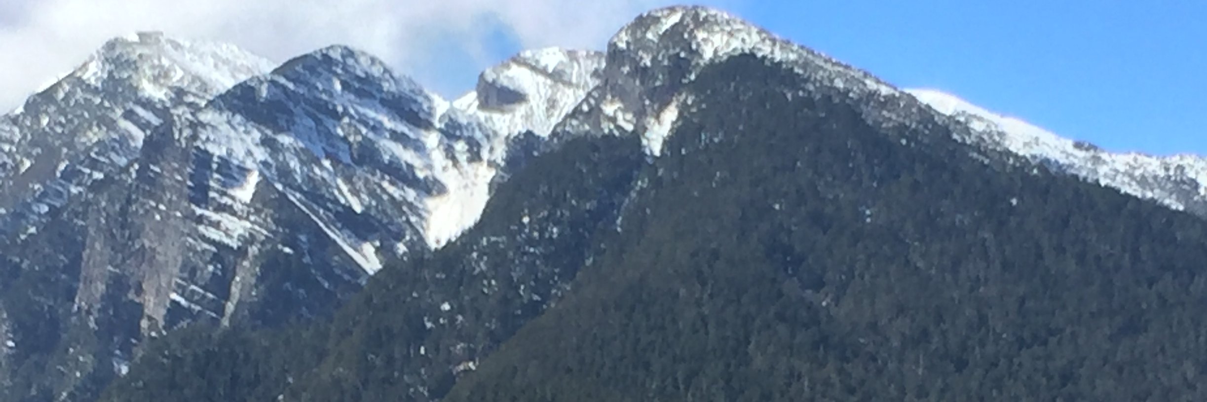 Nemothafish's profile banner image