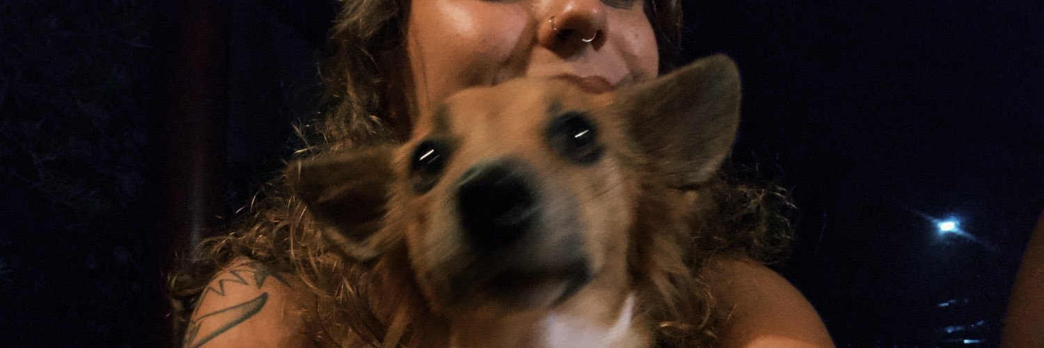 lisccaetano's profile banner image