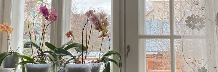 ❤︎ banner