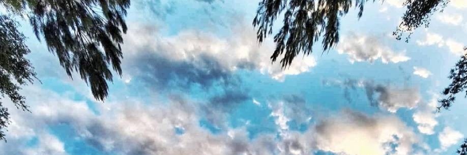 JulieWendele's profile banner image
